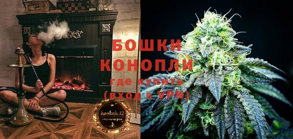 спиды Гусев