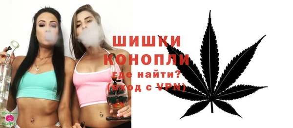 спиды Гусев