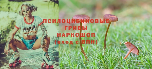 кристаллы Вязьма